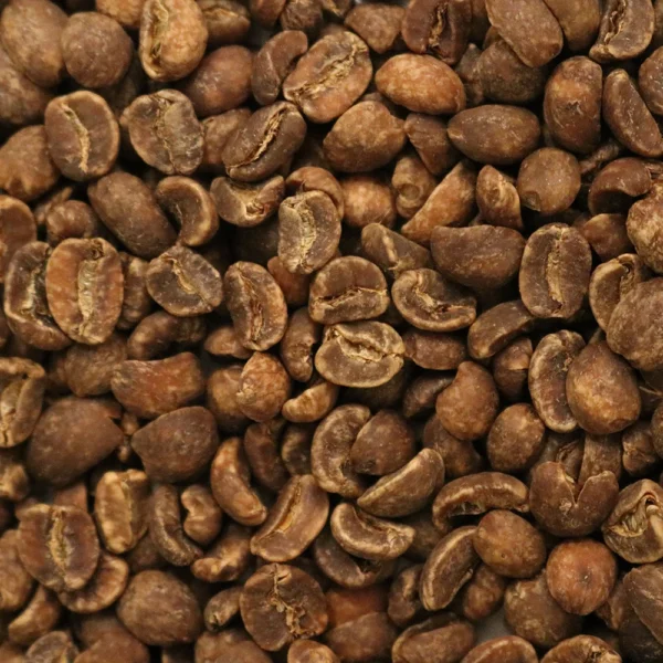 Honduras: Organic Decaf Maya Royal Select, Marcala - Image 2