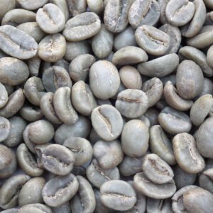 Colombia: Reserva Del Patron, Narino