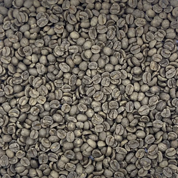 Costa Rica: Decaf El Indio SWP - Image 5
