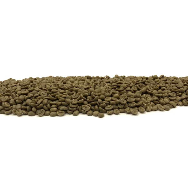 Costa Rica: Decaf El Indio SWP - Image 3