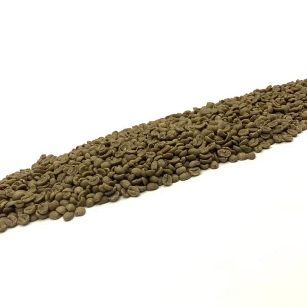 Costa Rica: Decaf El Indio SWP - Image 4