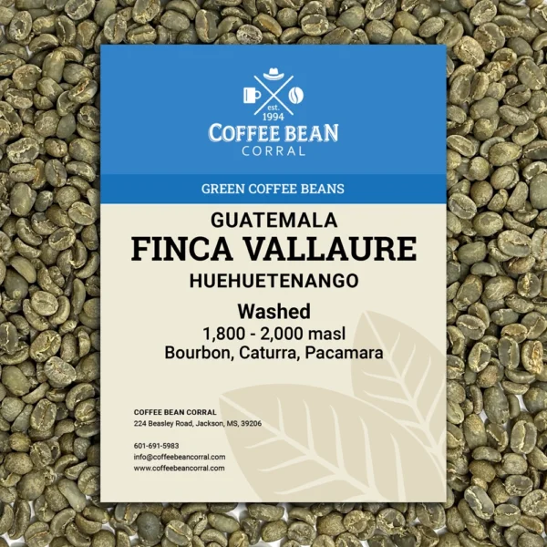 Guatemala: Finca Vallure, Huehuetenango - Image 6