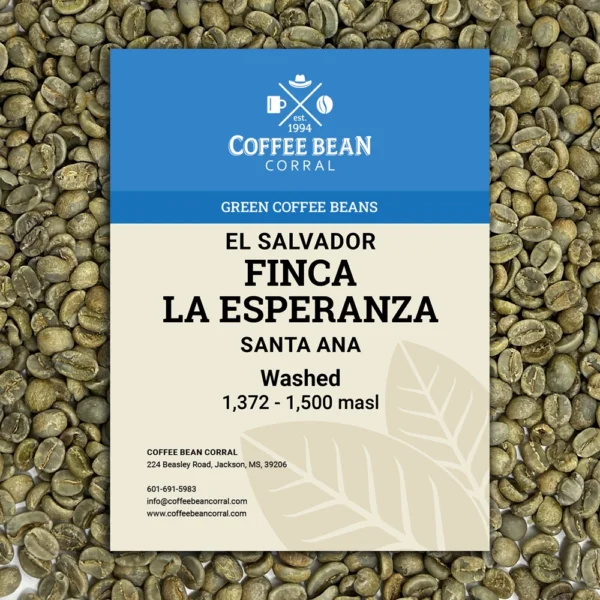 El Salvador: Finca La Esperanza, Santa Ana - Image 6