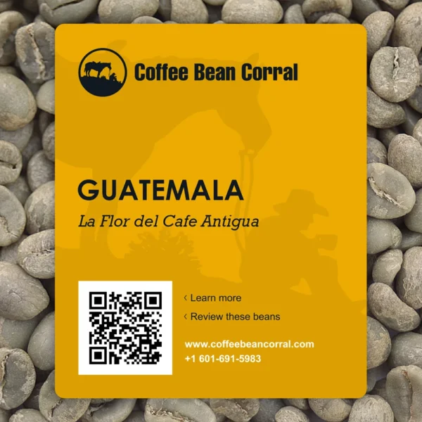 Guatemala: La Flor Del Cafe, Antigua - Image 4