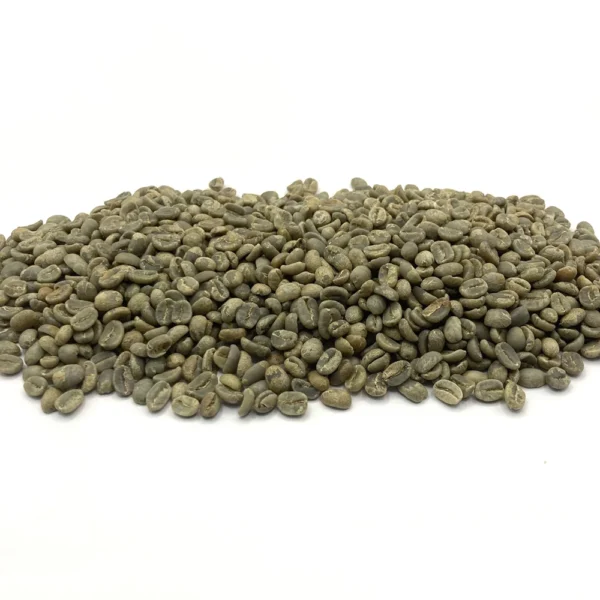 Guatemala: Geisha Honey SHB EP, San Marcos - Image 7