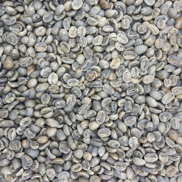Guatemala: Geisha Honey SHB EP, San Marcos - Image 2