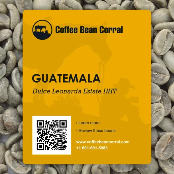 Guatemala: Geisha Honey SHB EP, San Marcos - Image 5