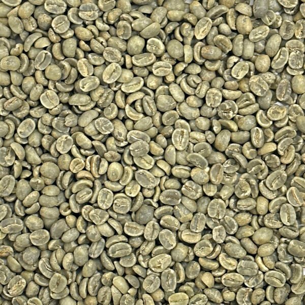 Guatemala: HHT SHB, Huehuetenango