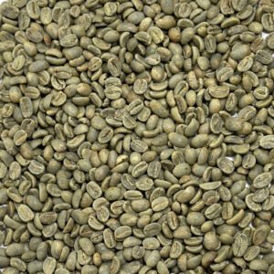 Dominican Republic: Organic Ramirez Washed, Jarabacoa