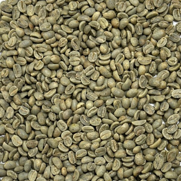 Dominican Republic: Organic Ramirez Washed, Jarabacoa