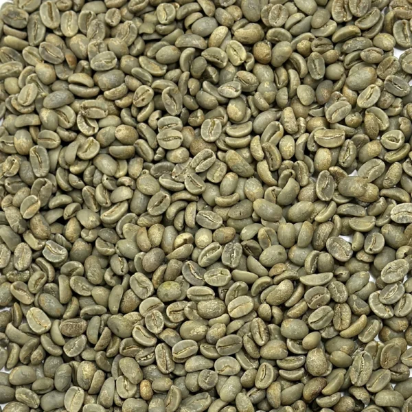 Dominican Republic: Organic Ramirez Washed, Jarabacoa - Image 2