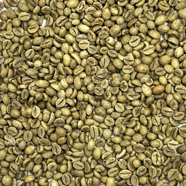 Vietnam: Robusta, Central Highlands