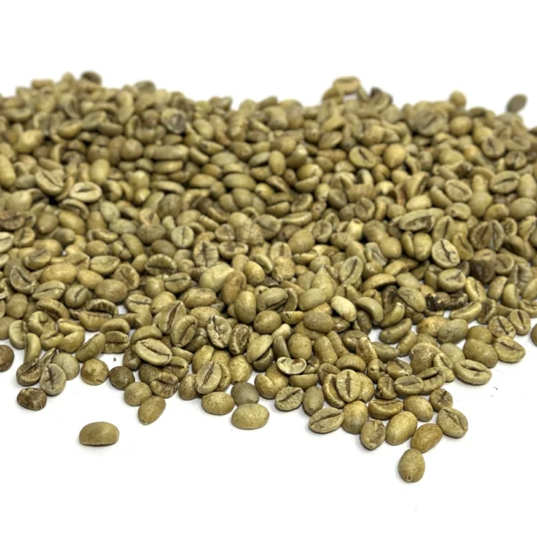 Uganda: Kaweri Robusta, Mubende - Image 3