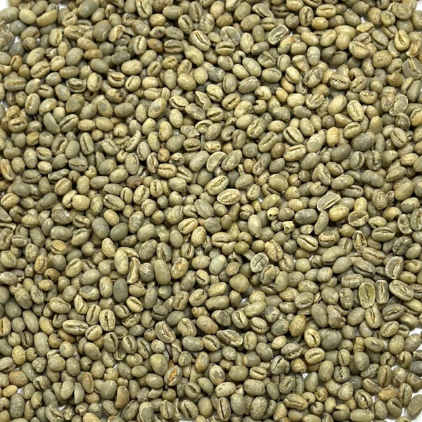 Tanzania: Peaberry, Kilimanjaro - Image 2