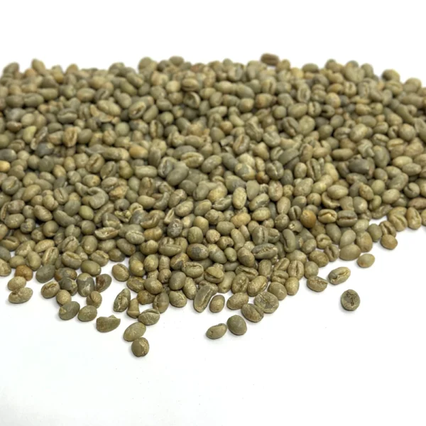 Tanzania: Peaberry, Kilimanjaro - Image 3