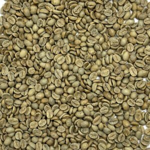 India: Mysore Nuggets, Chikmagalur District