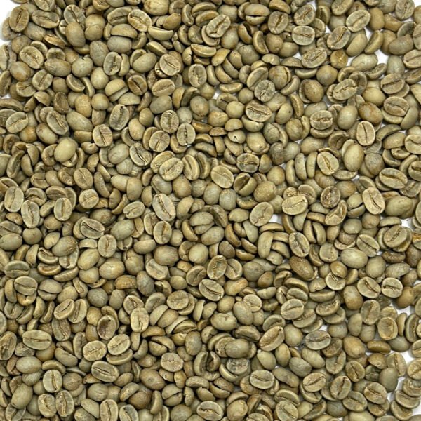 India: Mysore Nuggets, Chikmagalur District