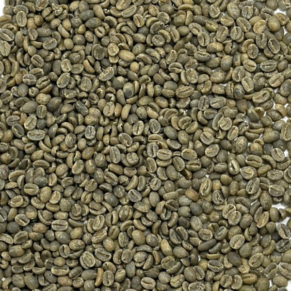 Java: Blawan Estate, East Java
