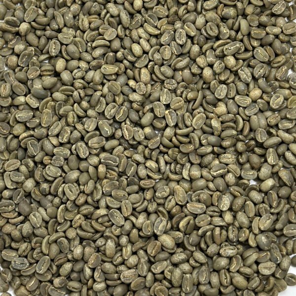 Haiti: Savanne Zombie, Central Plateau