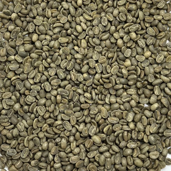 Haiti: Savanne Zombie, Central Plateau - Image 2
