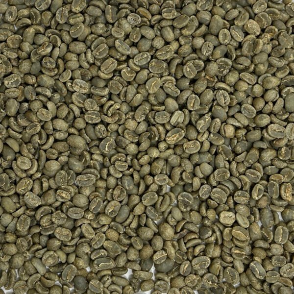 Guatemala: Finca Vallure, Huehuetenango