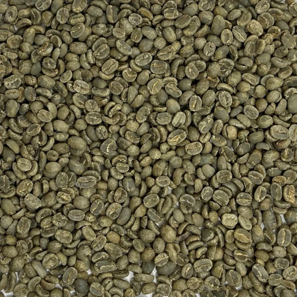 Guatemala: Finca Vallure, Huehuetenango - Image 2
