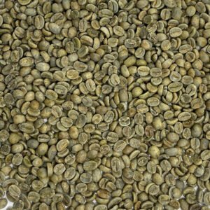 El Salvador: Finca La Esperanza, Santa Ana