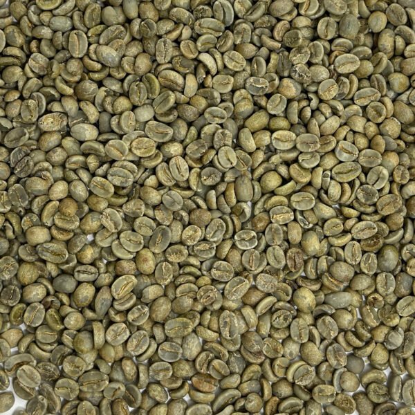 El Salvador: Finca La Esperanza, Santa Ana