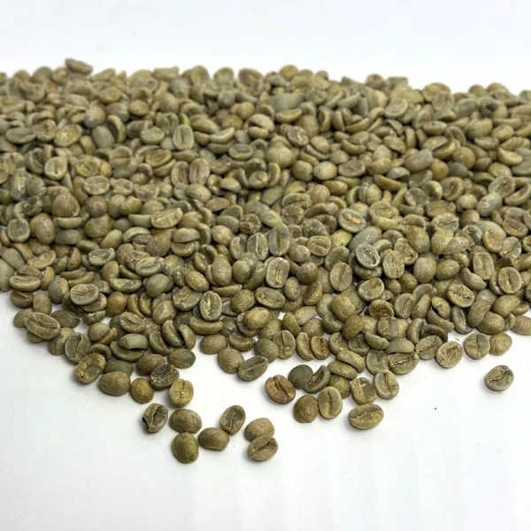 El Salvador: Finca La Esperanza, Santa Ana - Image 3