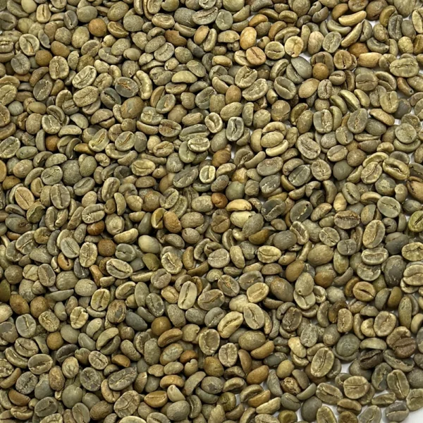 Seasoning Beans - Image 3