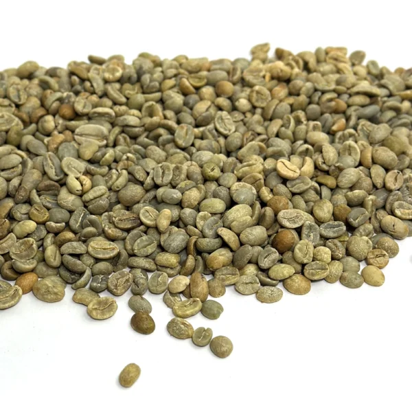 Seasoning Beans - Image 4