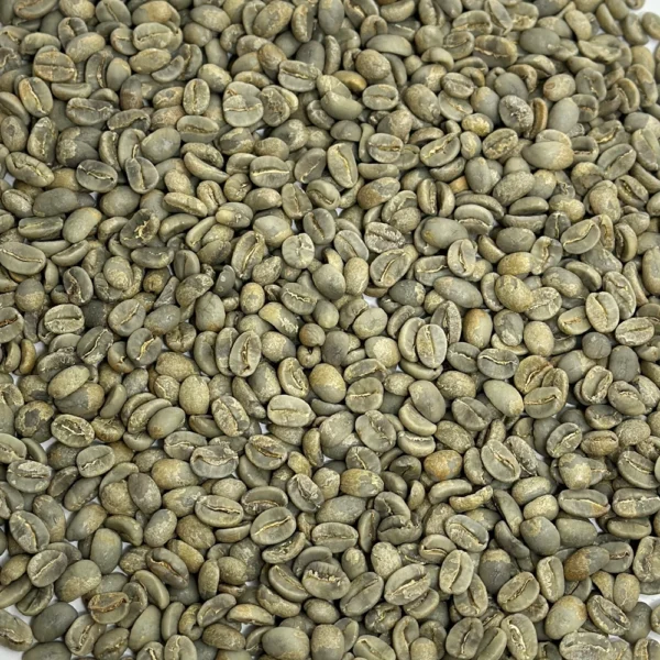 Mexico: Organic Cepco Oaxaca, Oaxaca - Image 3