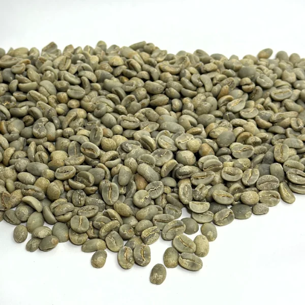 Mexico: Organic Cepco Oaxaca, Oaxaca - Image 4