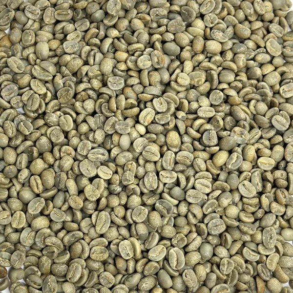 Bolivia: Organic Caranavi FTO, La Paz Department - Image 2