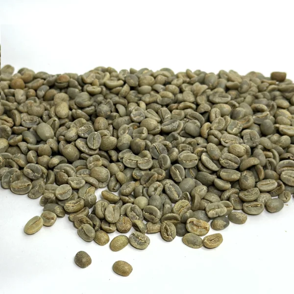 Bolivia: Organic Caranavi FTO, La Paz Department - Image 3