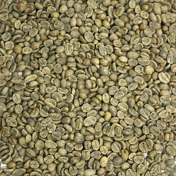 Mexico: Organic Mocabe HG, Chiapas