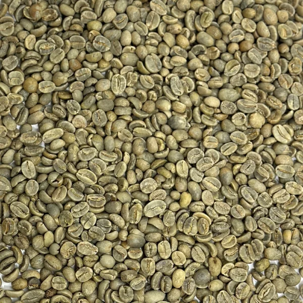 Mexico: Organic Mocabe HG, Chiapas - Image 2