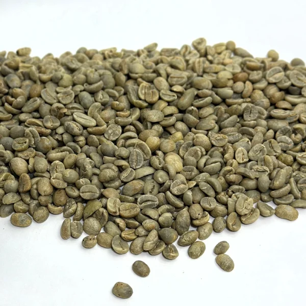 Mexico: Organic Mocabe HG, Chiapas - Image 3