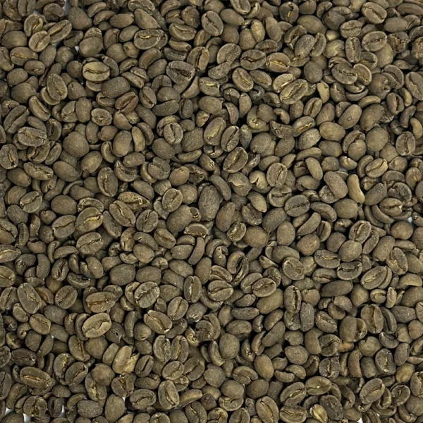 Timor: Organic Decaf Cafe Timor Coop, East Timor - Image 3