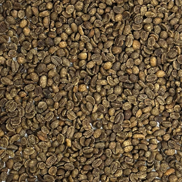 Ethiopia: Decaf Sidamo Natural, Sidamo - Image 2