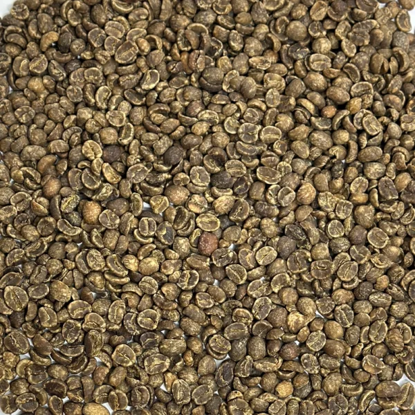 Honduras: Organic Decaf Maya Royal Select, Marcala - Image 3