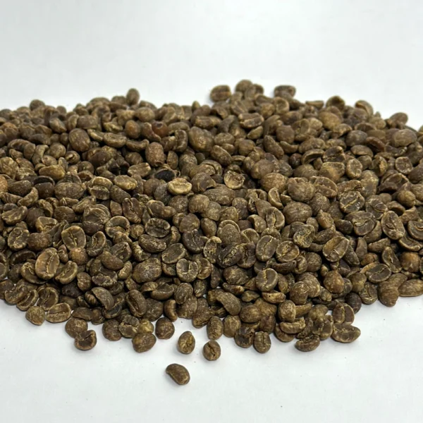 Honduras: Organic Decaf Maya Royal Select, Marcala - Image 4