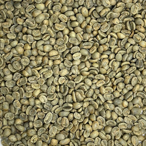 Honduras: Kingdom Growers SHG, Montecillos