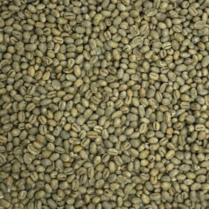 Brazil: Pearl Bourbon Peaberry, Daterra Estate