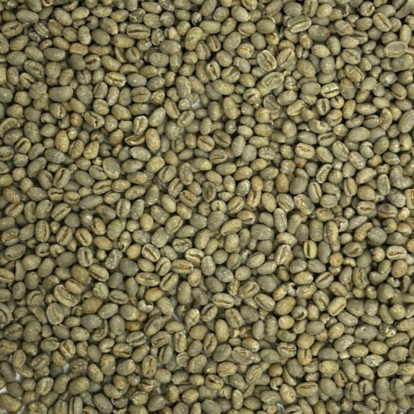 Brazil: Pearl Bourbon Peaberry, Daterra Estate