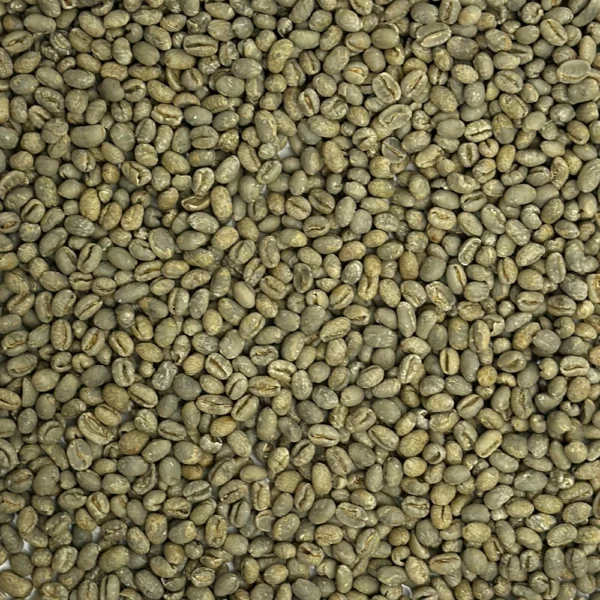 Brazil: Pearl Bourbon Peaberry, Daterra Estate - Image 2