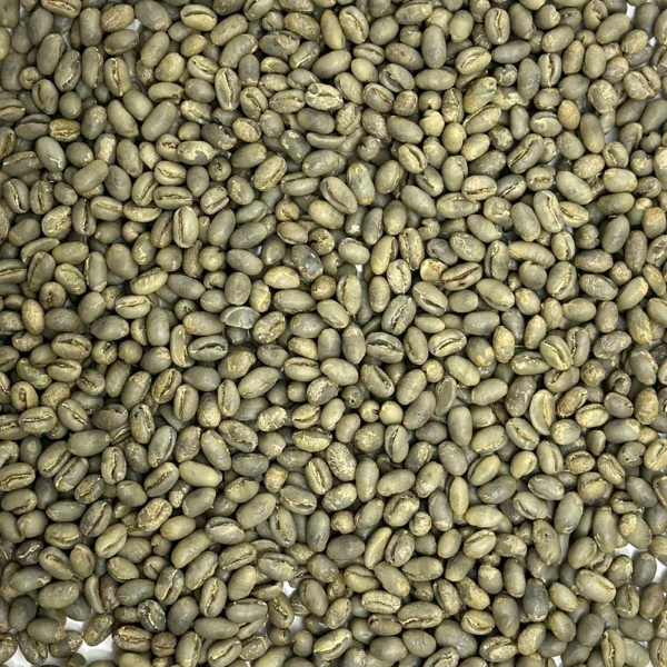 Hawaii: Kona Peaberry, Mauka Honaunau District - Image 2
