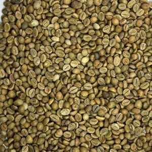 India: Cherry Robusta