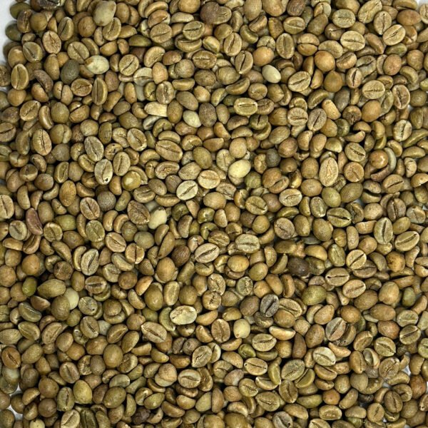 India: Cherry Robusta