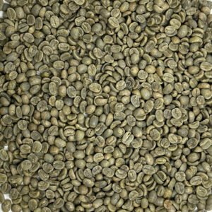 Panama: Finca La Santa SHB EP, Boquete